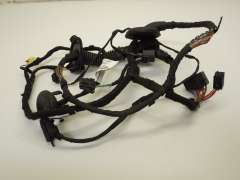 Audi A7 4G Front OS Right Door Wiring Loom 4G8971030CA (Item #61818) 