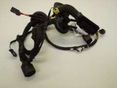 Audi A7 4G Front NS Left Door Wiring Loom 4G8971029DG (Item #455954) 