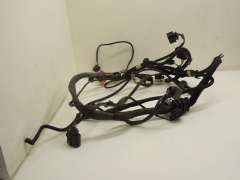 Audi S6 C6 Wiring Loom Harness for Wiper Motor Scuttle Panel Area 4F2971271AD (Item #165589) 