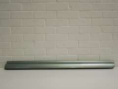 Audi A8 D3 Front OS Right Lower Door Strip Trim Light Green 4E0853960A (Item #101520) 