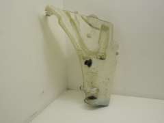 Audi A4 B8 Windscreen Washer Bottle Reservoir 8T0955453B (Item #278892) 