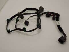 VW Phaeton D1 Rear NS Left Door Inner Wiring Loom 3D0971693BF (Item #134818) 