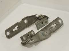 Audi A4 B6 B7 Pair Bonnet Hinges Beige 8E0823301E (Item #162504) 