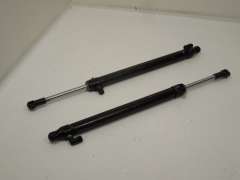 Audi TT 8N Roadster Upper Hood Roof Hydraulic Rams Struts 8N7871795A (Item #448578)