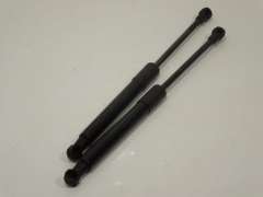Audi TT 8J Bonnet Support Gas Struts 8J0823359C (Item #345852) 