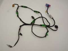 Audi A6 C6 Front NS Left Door Wiring Loom  4F1971036E (Item #276310) 