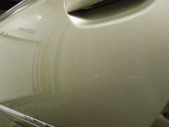 Audi A8 D3 SWB NS Left Rear Door Skin Gold Beige LZ1Z 4E0833051C (Item #228155) 