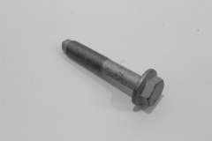 Audi TT 8N Front Suspension Wishbone Mounting Bolt New N10262202 (Item #400202) 