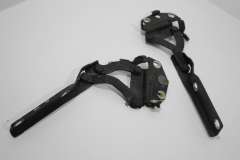 VW Passat B7 Bonnet Hinges Pair  3AA823301 (Item #451515) 