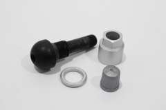 Audi A6 C7 A7 A8 D4 R8 Tyre Valve for Tyre Pressure Monitoring New 420601361A (Item #393030)