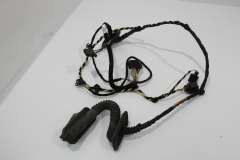 VW Passat B7 CC OS Right Rear Door Wiring Loom  3C8971694CH (Item #353768) 