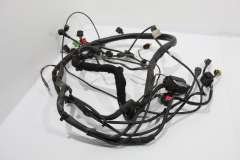 Audi A6 C6 Wiring Loom Harness for Auto Range Control Lights 4F1971075CQ (Item #402983) 