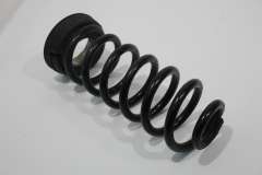 Audi A8 D2 Rear Non Sport Spring Aftermarket   (Item #456448) 