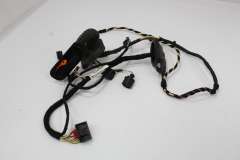 VW Passat B6 CC Rear NS Left Door Inner Wiring Loom 3C4971693CC (Item #392797) 