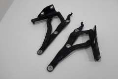 Audi TT 8N Roadster Boot Lid Hinges Blue 8N7827299A (Item #362184) 