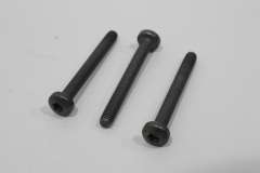 Audi A3 8P EGR Throttle Body Hexagon Socket Head Fixing Bolts x3 New N10670301 (Item #459912) 