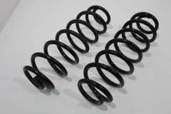 VW Passat B6 Rear Coil Springs Aftermarket  (Item #373040) 