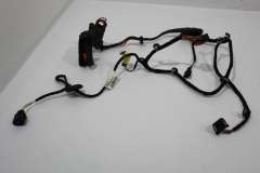 VW Passat B6 CC RHD Front NS Left Passenger Door Wiring Loom  3C8971121BH (Item #373049) 