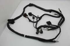 Audi S5 8T 3.0TFSi V6 Alternator Main Wiring Harness Loom 8K0971228AA (Item #382794)