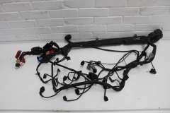 Audi A4 B6 2.5TDi Diesel BDG Engine Wiring Loom for CVT 8E2971072LK (Item #393234)