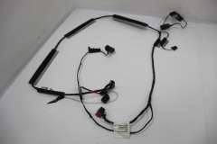 VW Phaeton D1 Roof Wiring Harness Loom 3D0971100BG (Item #403402) 