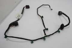 VW Phaeton D1 OS Right Rear Door Wiring Loom  3D0971694AS (Item #403532) 