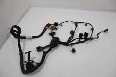 VW Phaeton D1 Front NS Left Door Wiring Loom Harness 3D2971121S (Item #403612) 