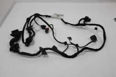 Audi A8 D3 Front Drivers Door Wiring Loom For Soft Close Bose 4E0971029DG (Item #404139) 