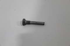 Audi A8 D3 Brake Fluid Reservoir To Servo Bolt N90638803 (Item #404350) 