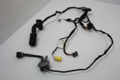 Audi A4 B8 Front Passenger Door Wiring Loom for KESSY 8K0971030C (Item #406079)