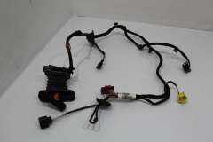 VW Passat B7 Front NS Left Passenger Door Wiring Loom  3AC971121R (Item #433127)