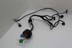 Audi A3 8L Front NS Left Drivers Door Wiring Loom  8L2971035CA (Item #436606)