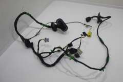 Audi A6 C6 Drivers Door Front Door Wiring Loom  4F1971029C (Item #462656) 