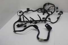 Audi A3 8P 1.6 CAYB CAYC Diesel Engine Wiring Loom  03L972619AN (Item #470986) 