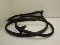 Audi A2 Front NS Left Rubber Door Outer Seal 8Z0831721D (Item #114418) 